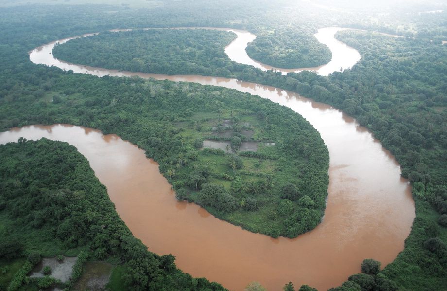 It is axiomatic that we are in no way protected from the consequences of our actions by remaining confused about the ecological meaning of our humanness, ignorant of ecological processes, and unmindful of the ecological aspects of history. 
William R. Catton, Jr. Overshoot: The Ecological Basis of Revolutionary Change.   Photo of Tana River by David Beatty